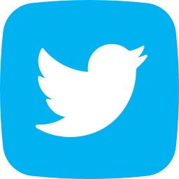 Twitter Icon